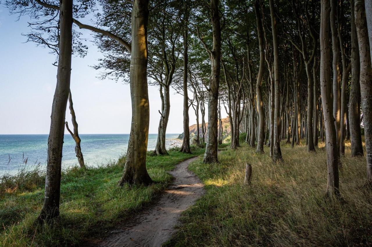 Ferienhaeuschen Kuestenwald Bei Warnemuende, Eigener Garten, Terrasse Mit Strandkorb, 400M Zum Strand Дидрихсхаген Екстериор снимка